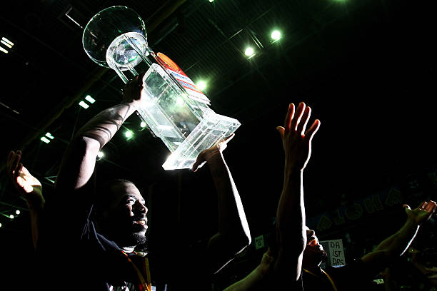 青岛海牛在 青岛海牛在